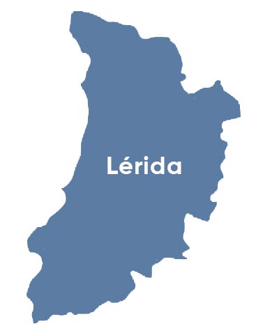Compañia de luz y gas en Lerida